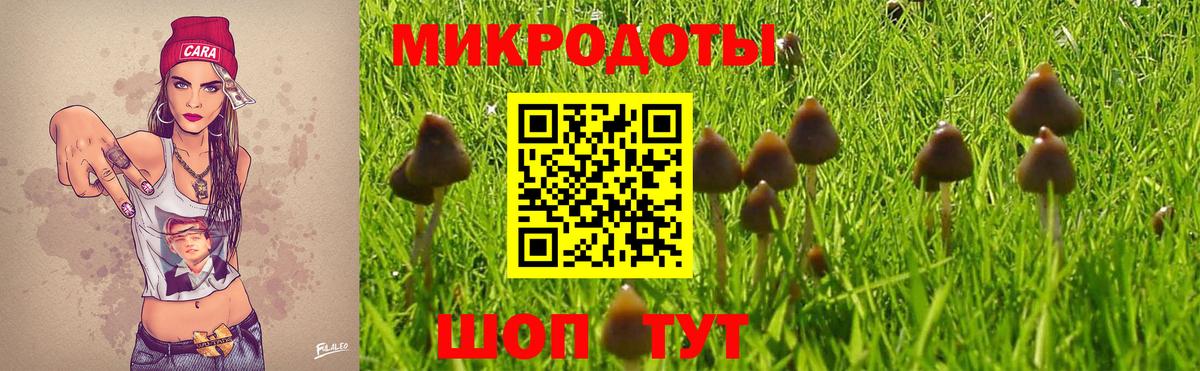 Волгодонск  Псилоцибиновые грибы MAGIC MUSHROOMS  Вход с VPN 